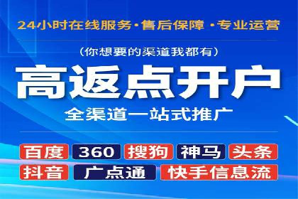 某知名企业竞价推广策略全解析